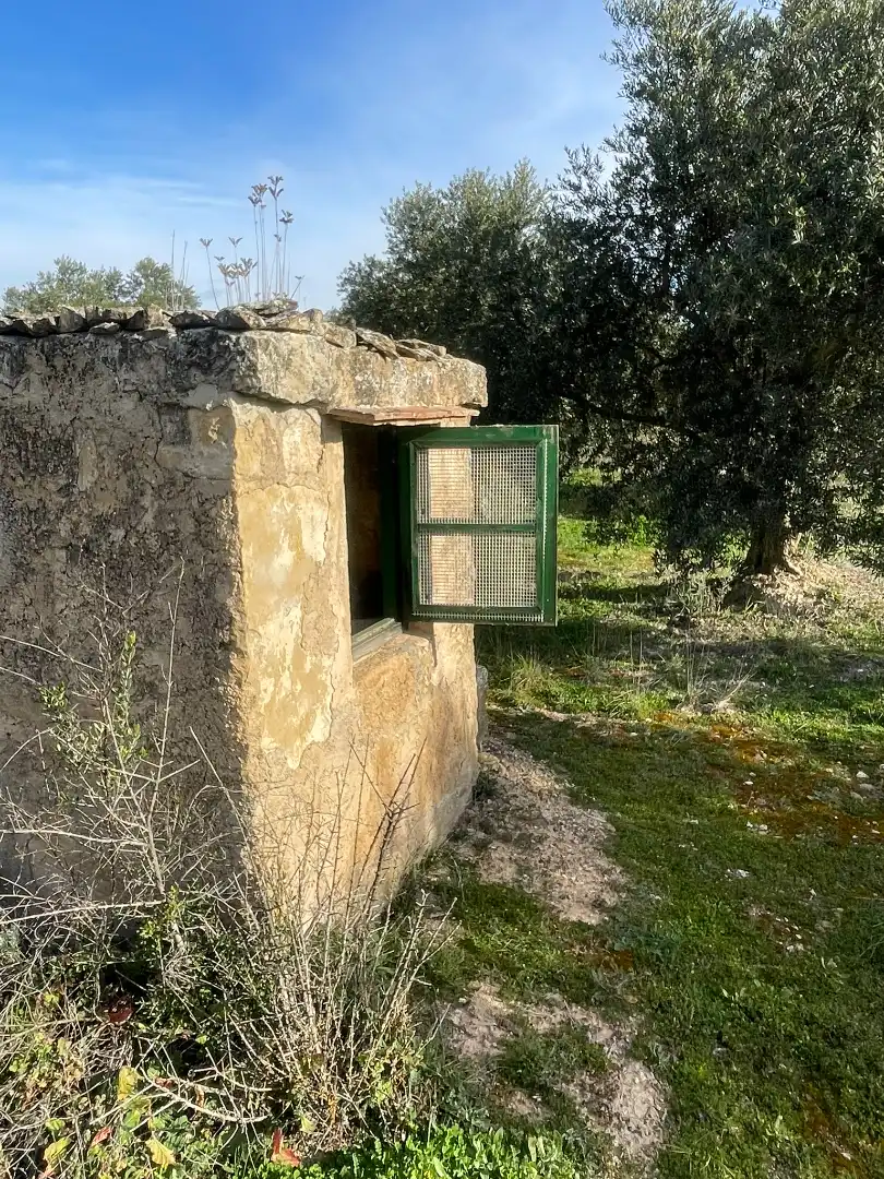 Rural land for sale in Cervià de Les Garrigues, imagen 7