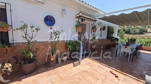 Foto 2 de Finca rústica en venta en Alcaucín, Málaga