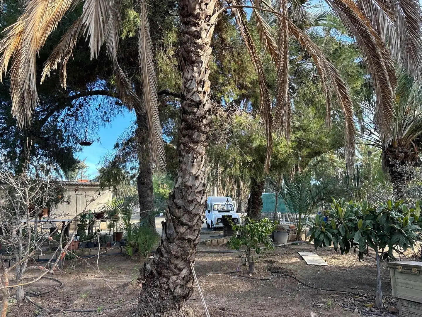 Aparcament de Finca rústica en venda en Elche / Elx