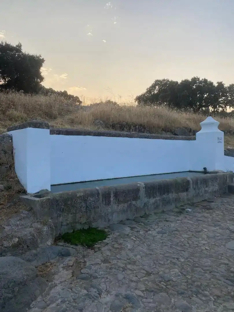 Piscina de Finca rústica en venda en Burguillos del Cerro, Badajoz