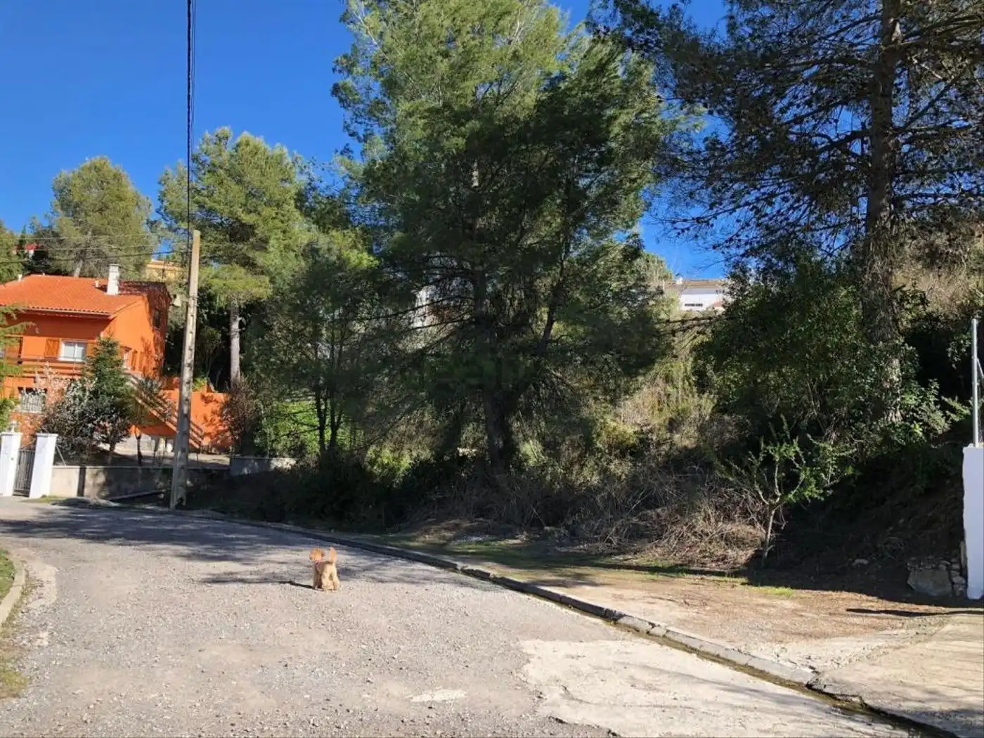 Residencial en venta en Carrer Mas Ventos, Castellbell i el Vilar