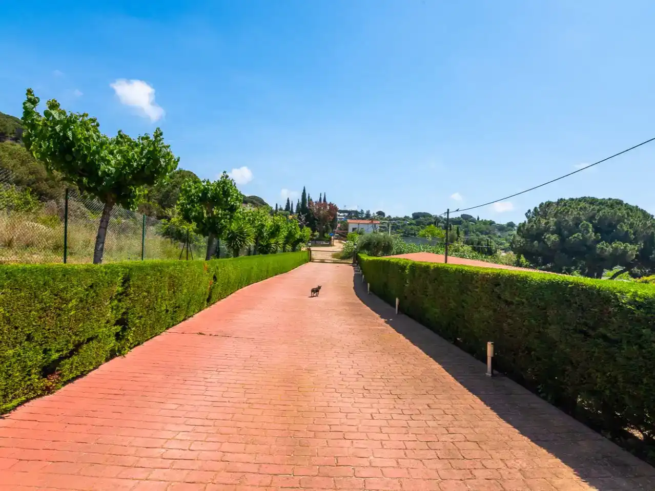 Vista exterior de Planta baixa en venda en Argentona amb Aire condicionat, Terrassa i Piscina
