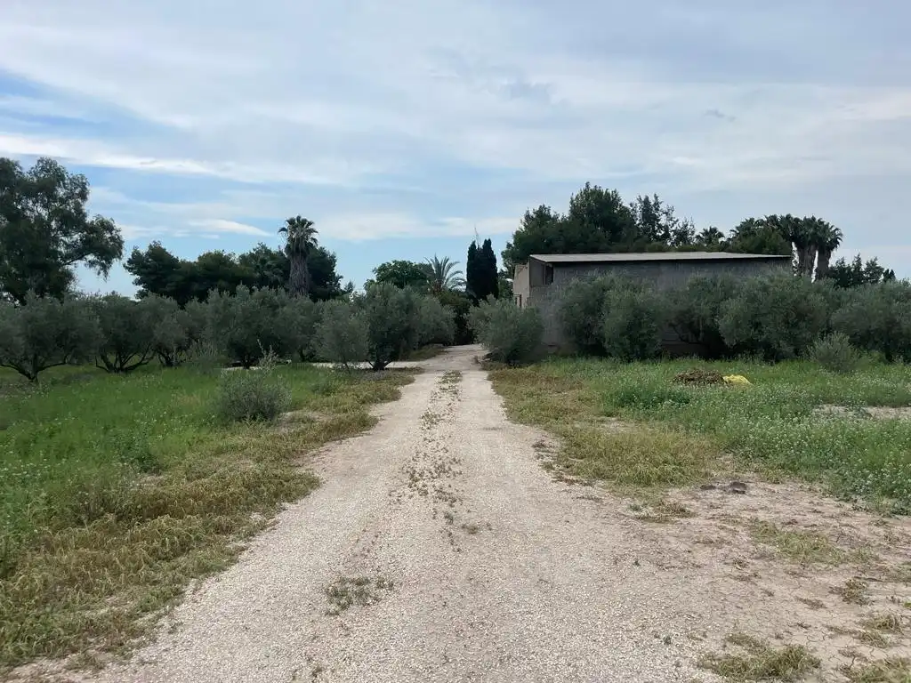 Terreno rustico in vendita a Dolores, imagen 16