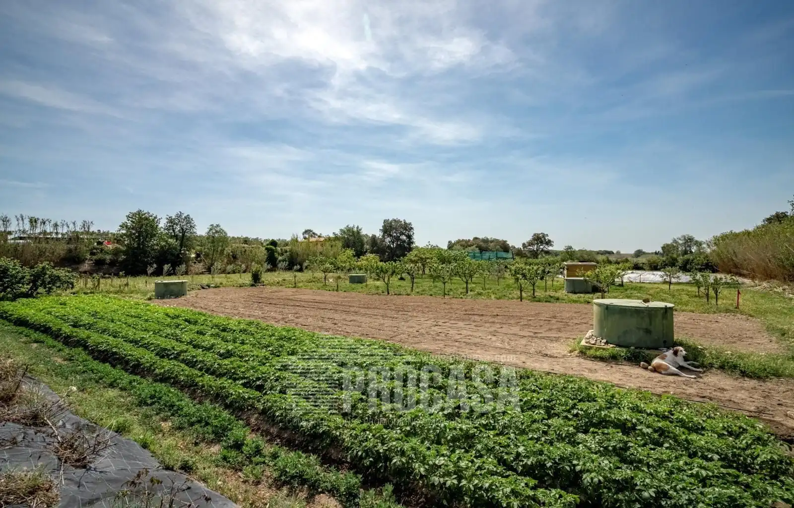 Houses for sale in Masarac i Vilarnadal  with Air Conditioner, Storage room and Swimming Pool