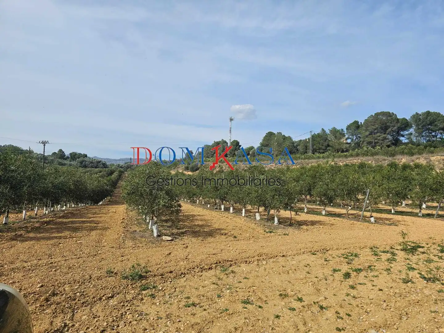 Industrial buildings for sale in Xerta