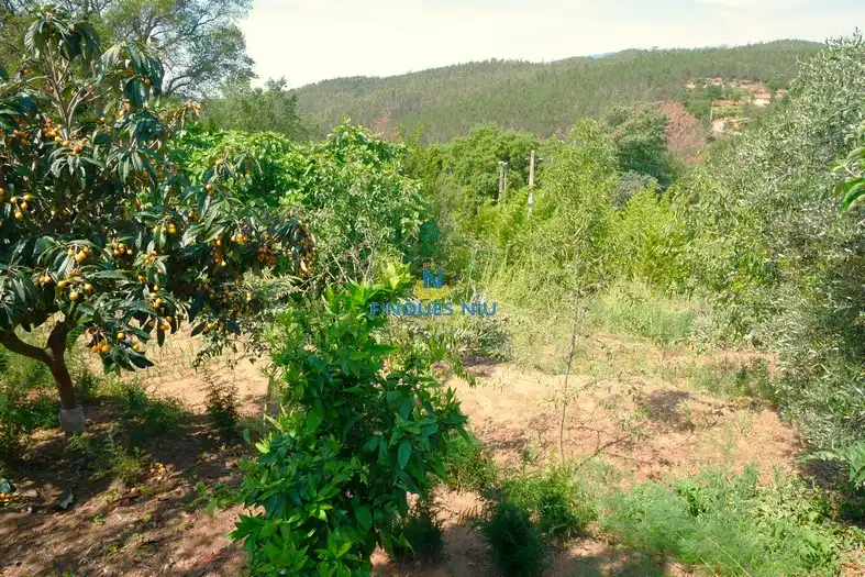 Casa o xalet en venda a Carrer del Roser, Riudarenes