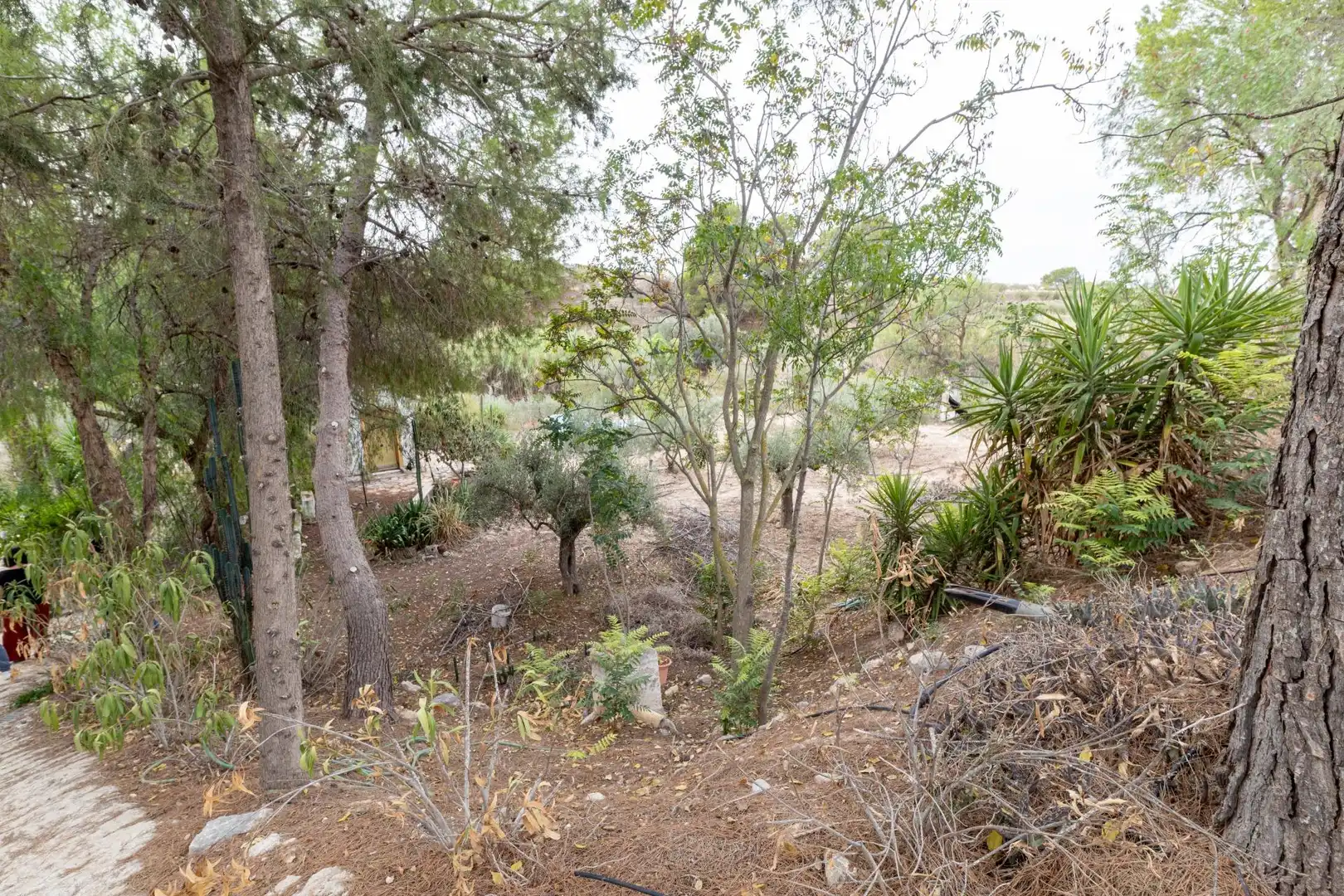 Casa o chalet en venta en Ricote con Jardín privado, Terraza y Trastero