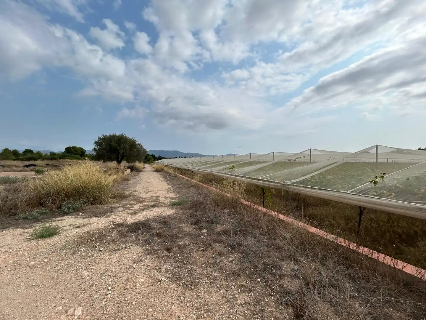Terreno rustico in vendita a Carrer Lliria, imagen 7