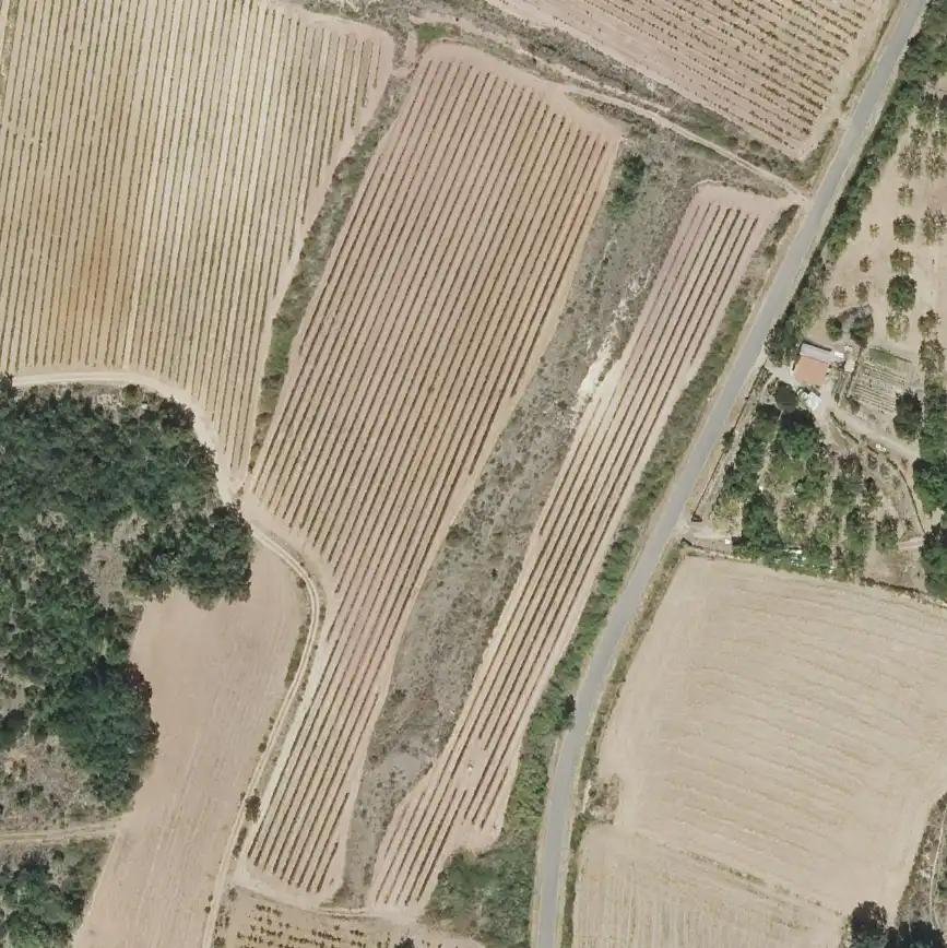 Terreny rústic en venda a Labastida / Bastida, imagen 2