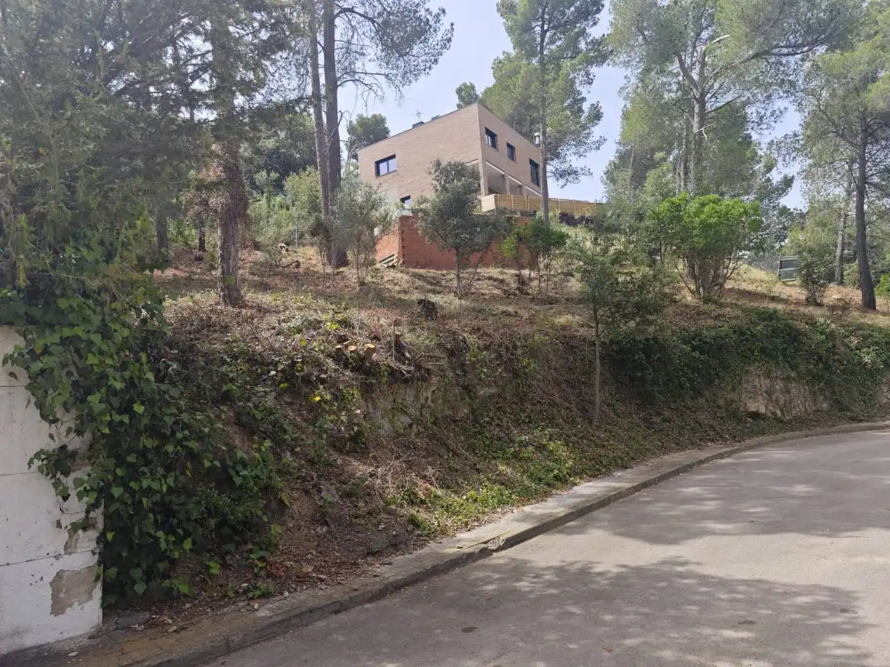 Terreny rústic en venda a Calle Josefa Comellas, imagen 3