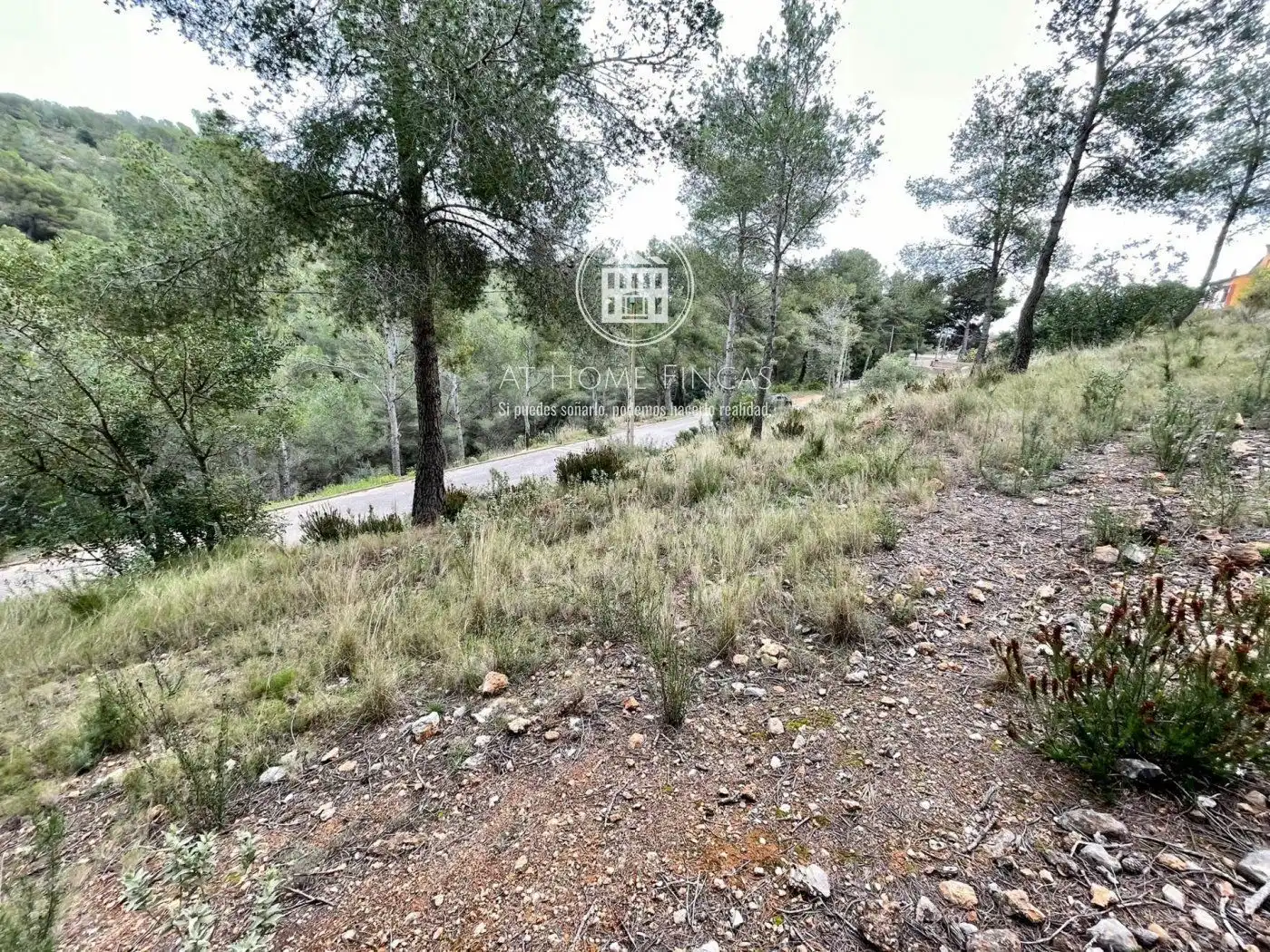 Rural land for sale in Segovia-Priorat, imagen 2