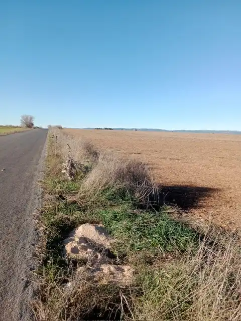 Terreno rustico in vendita a Santa María  - Pío XII, imagen 3