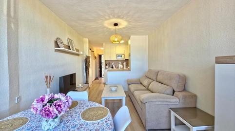 Photo 4 of Planta baja for rent in Mil Palmeras, Pilar de la Horadada