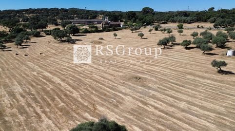 Photo 5 of Land for sale in Huerta Virgen Cala, Cala, Huelva