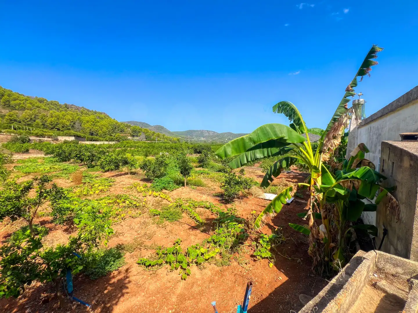 House for sale in Oliva pueblo, imagen 25