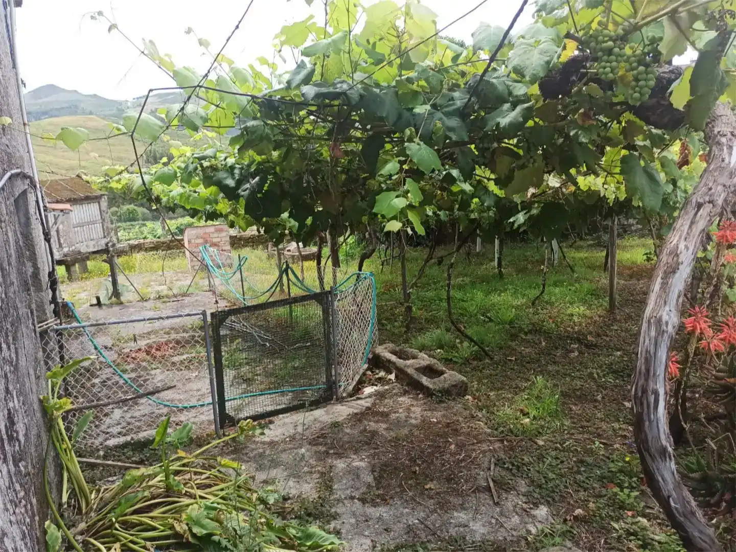 Casa o xalet en venda en Ponte Caldelas