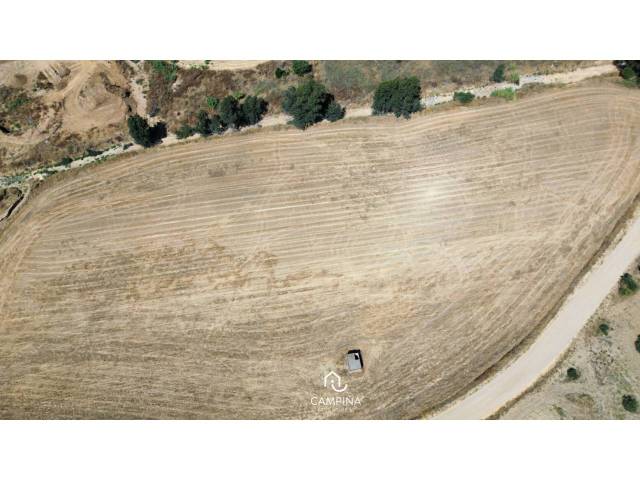 Terreno en Venta en LOS LLANO en Trigueros