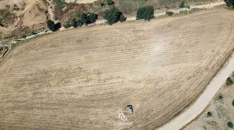 FINCAS RÚSTICAS EN TRIGUEROS