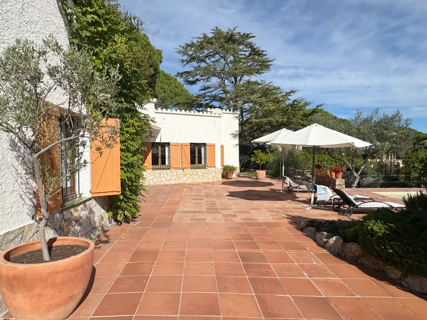 Jardín de Casa o chalet en venta en Empúries