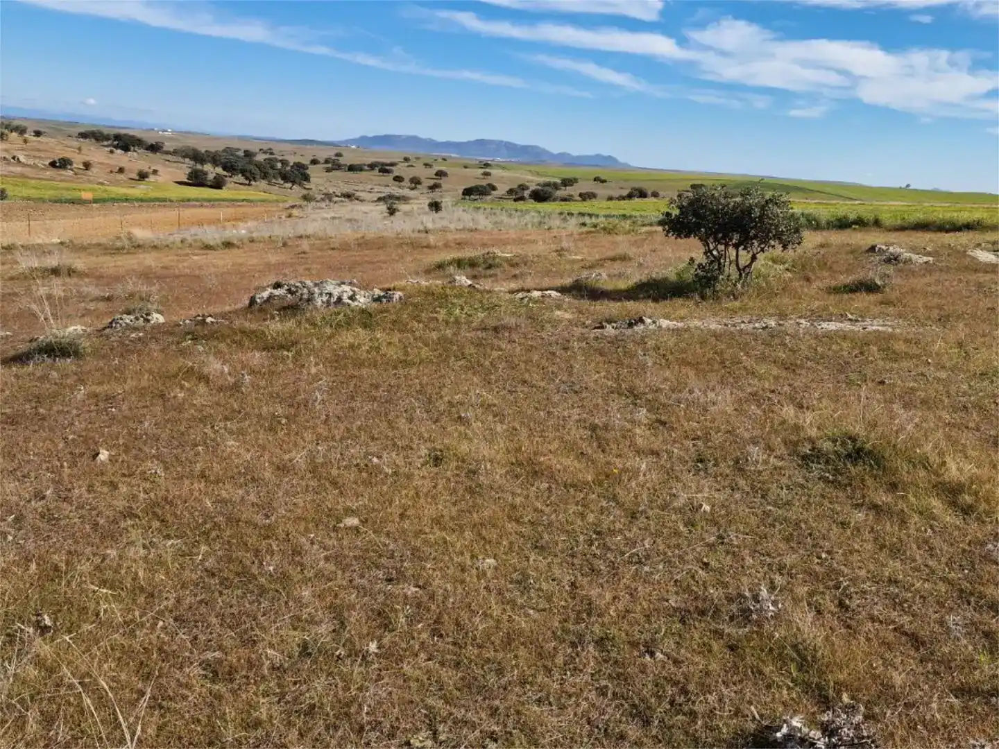 Land for sale in La Coronada, Badajoz