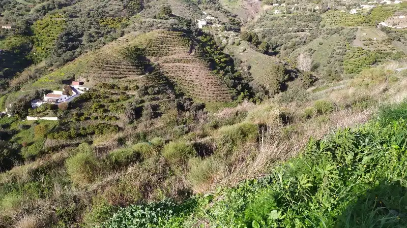 Land for sale in Frigiliana