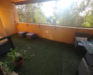 Terrace of Flat to rent in Algeciras  with Private garden, Furnished and Community pool