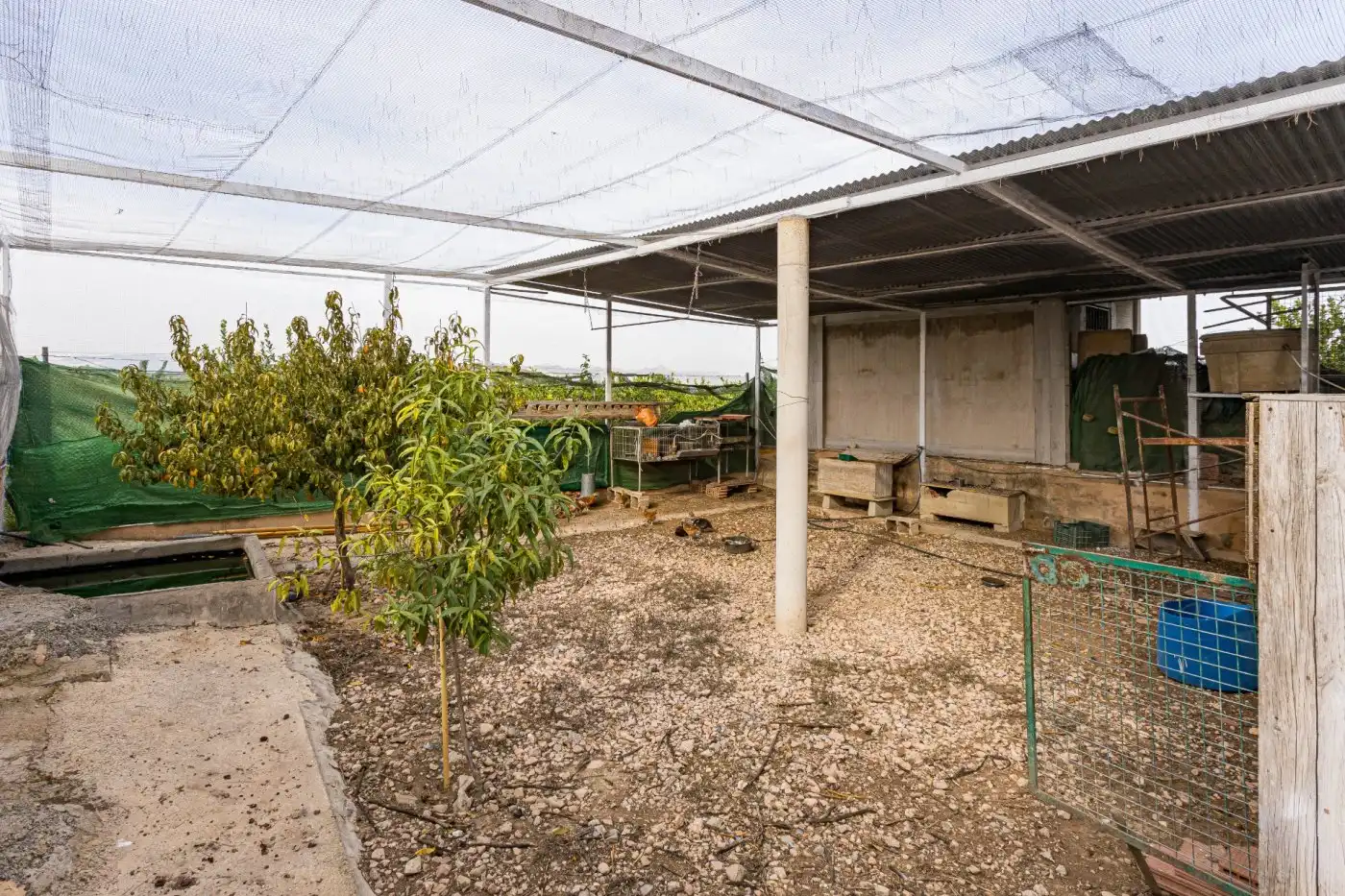 Jardí de Casa o xalet en venda en Orihuela amb Jardí privat, Traster i Piscina