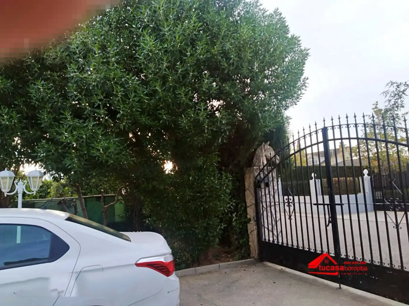 Exterior view of Houses for sale in Córdoba  with Terrace and Swimming Pool