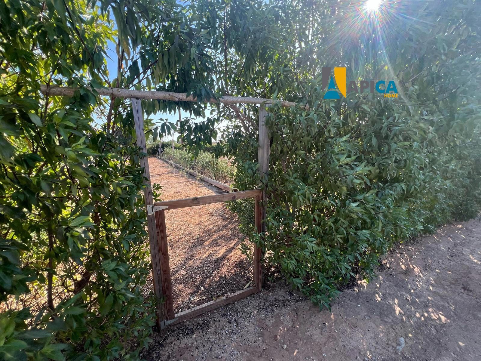 Land for sale in Conil de la Frontera