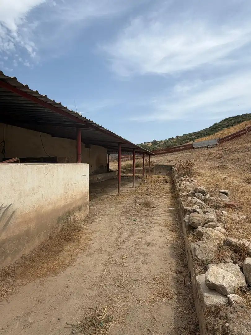 Casa rústica en venta en San Martín del Tesorillo, imagen 14