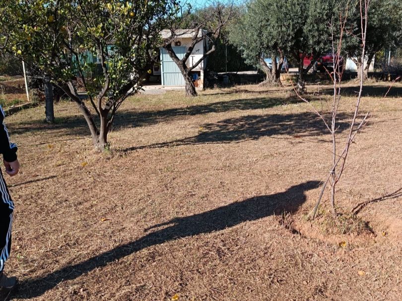 Land for sale in Vila-real
