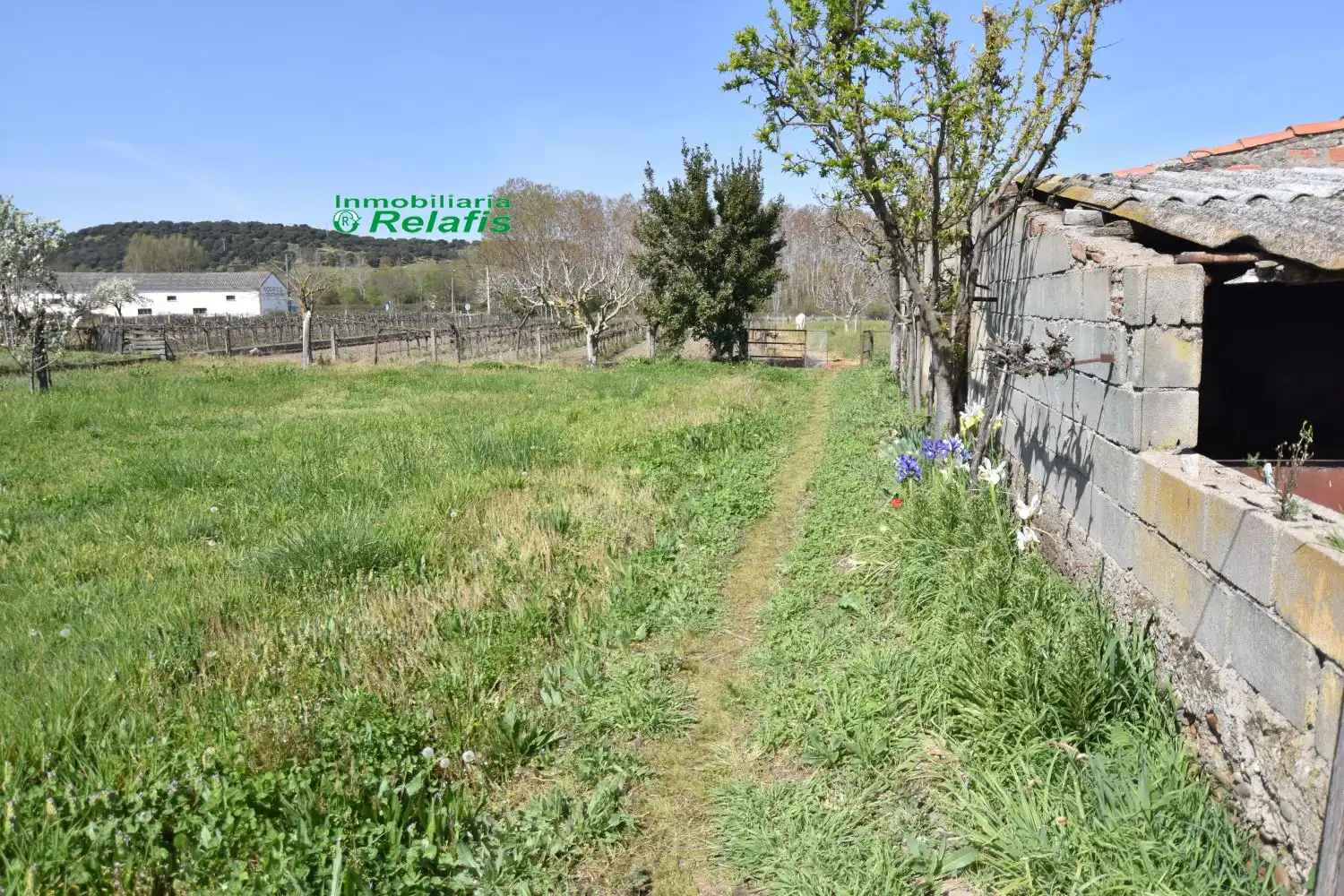 Finca rústica en venta en Ciudad Rodrigo