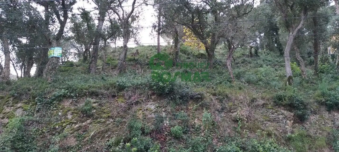 Terrenos y solares en venta en Serra Brava, imagen 8