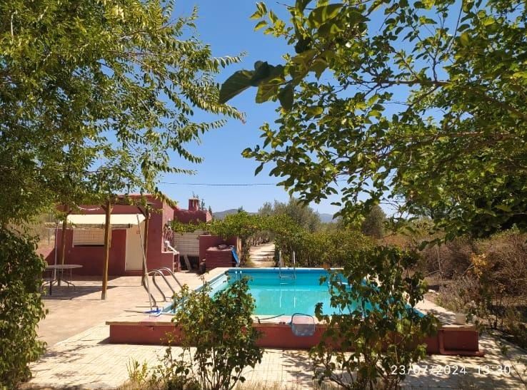 Swimming pool of Country house for sale in Onil  with Private garden, Terrace and Swimming Pool