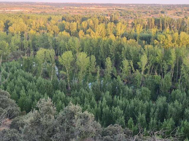 Terreno en Venta en Escalona