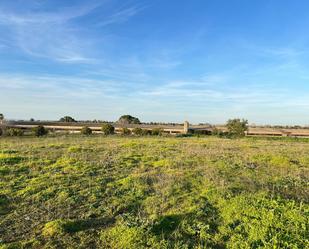 Industrial buildings for sale in Benacazón