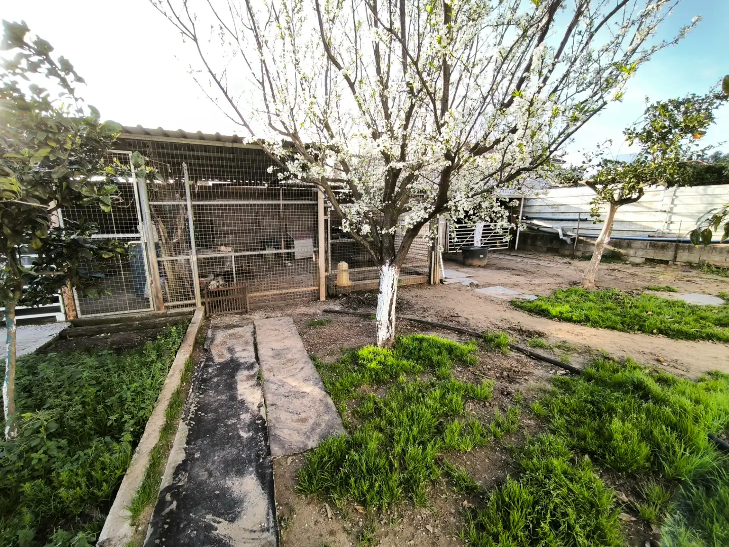 Terreno rustico in vendita a San Roque Pueblo, imagen 14