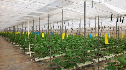 Foto 2 de Residencial en venda a Calahonda - Carchuna, Granada