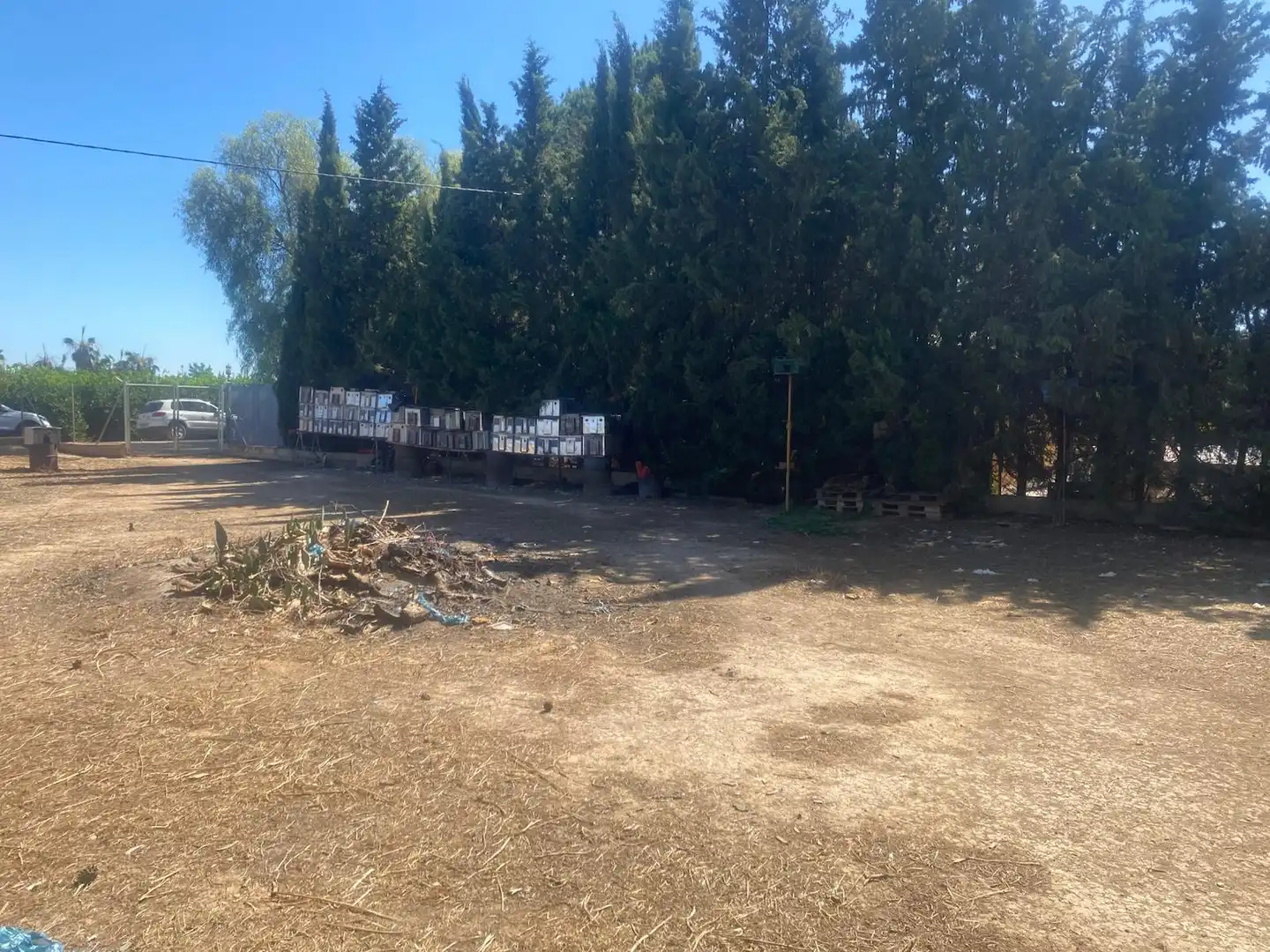 Terreny rústic en venda a Camino Conde del Valle, imagen 2