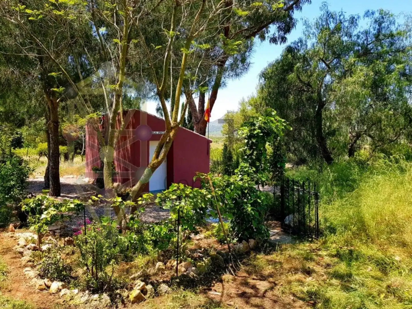 Jardín de Casa o chalet en venta en Fuente Álamo de Murcia con Aire acondicionado, Jardín privado y Terraza