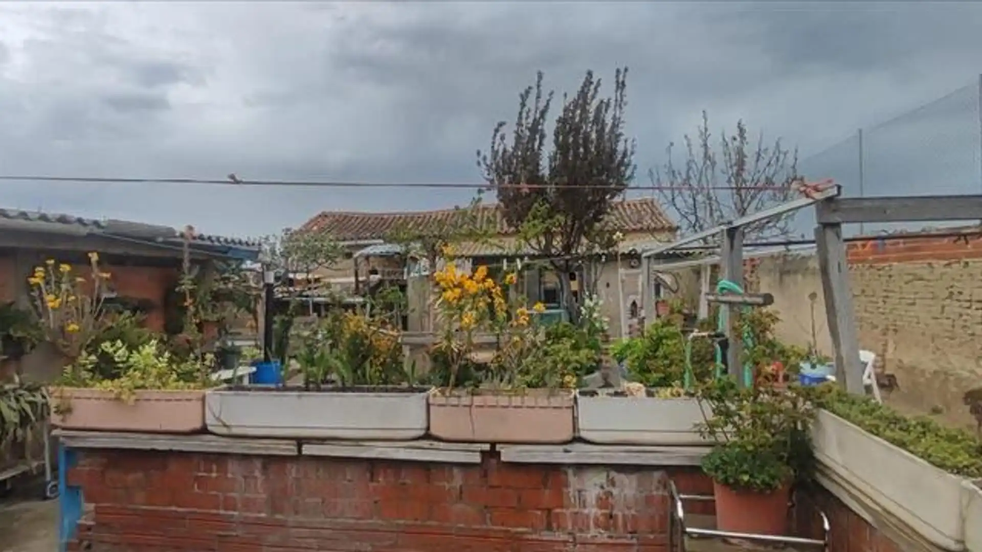 Jardín de Casa o chalet en venta en Rueda con Jardín privado