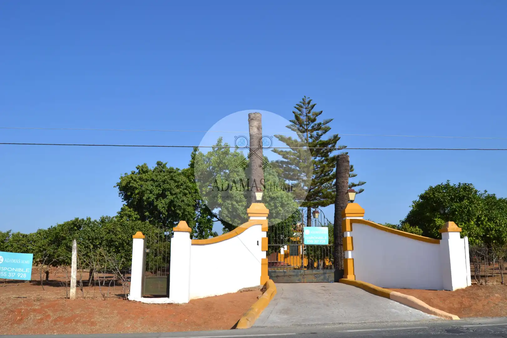 Vista exterior de Casa o xalet en venda en Sanlúcar la Mayor amb Jardí privat, Terrassa i Piscina