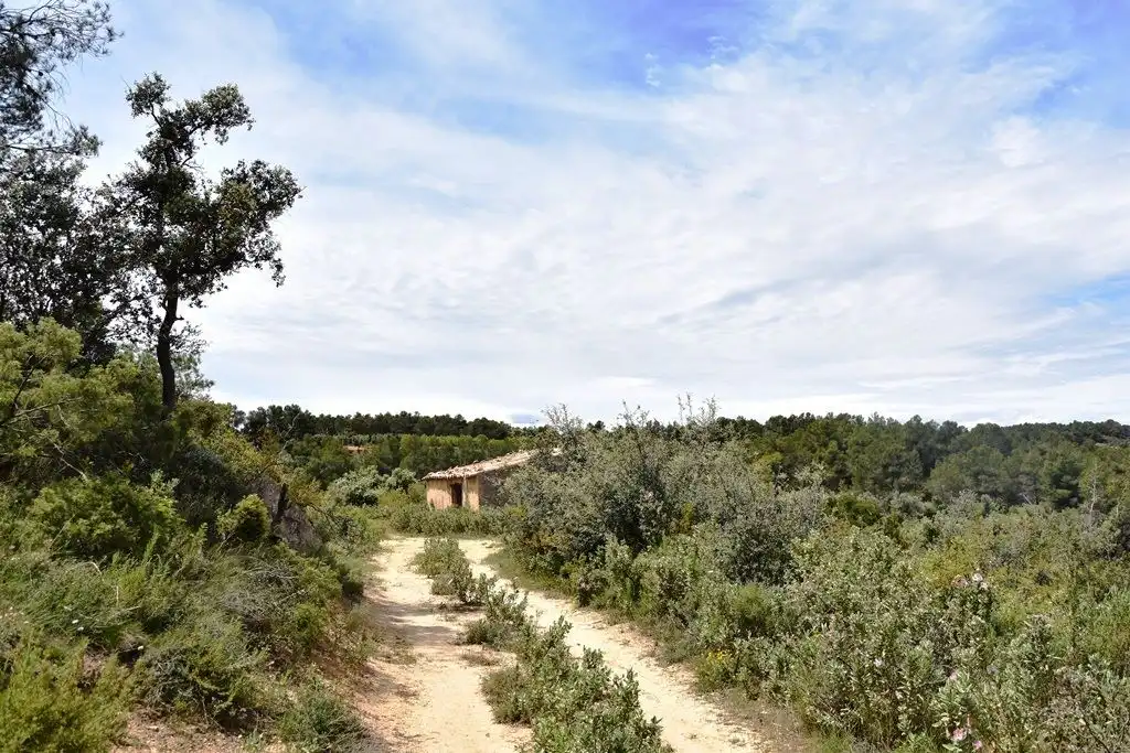 Terreni e lotti in vendita a Arens de Lledó, imagen 7