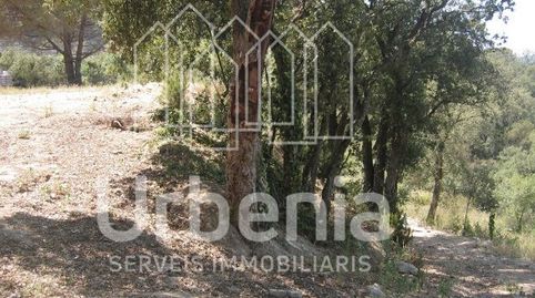 Foto 5 de Terreno en venta en Sot D'en Trampa, Sant Cebrià de Vallalta, Barcelona