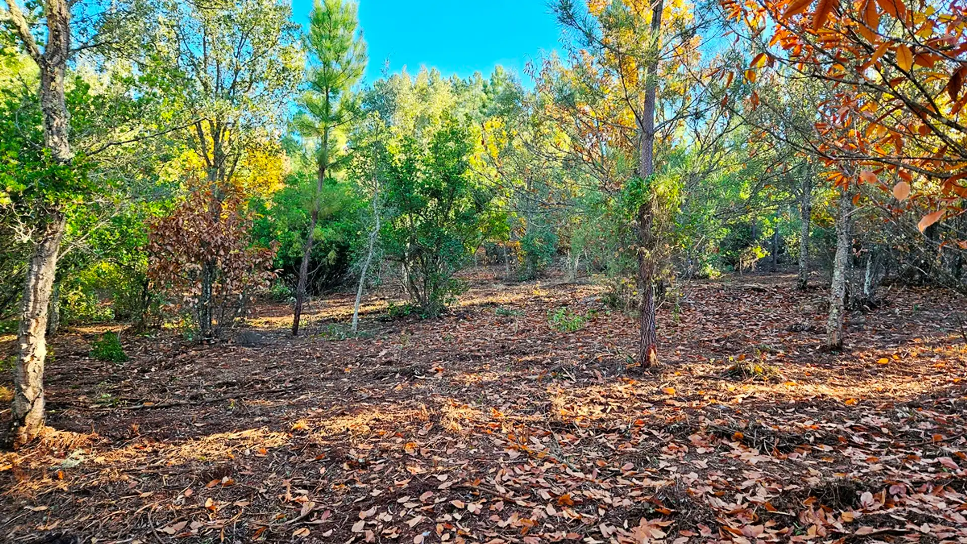 Terreno en venta en Galaroza