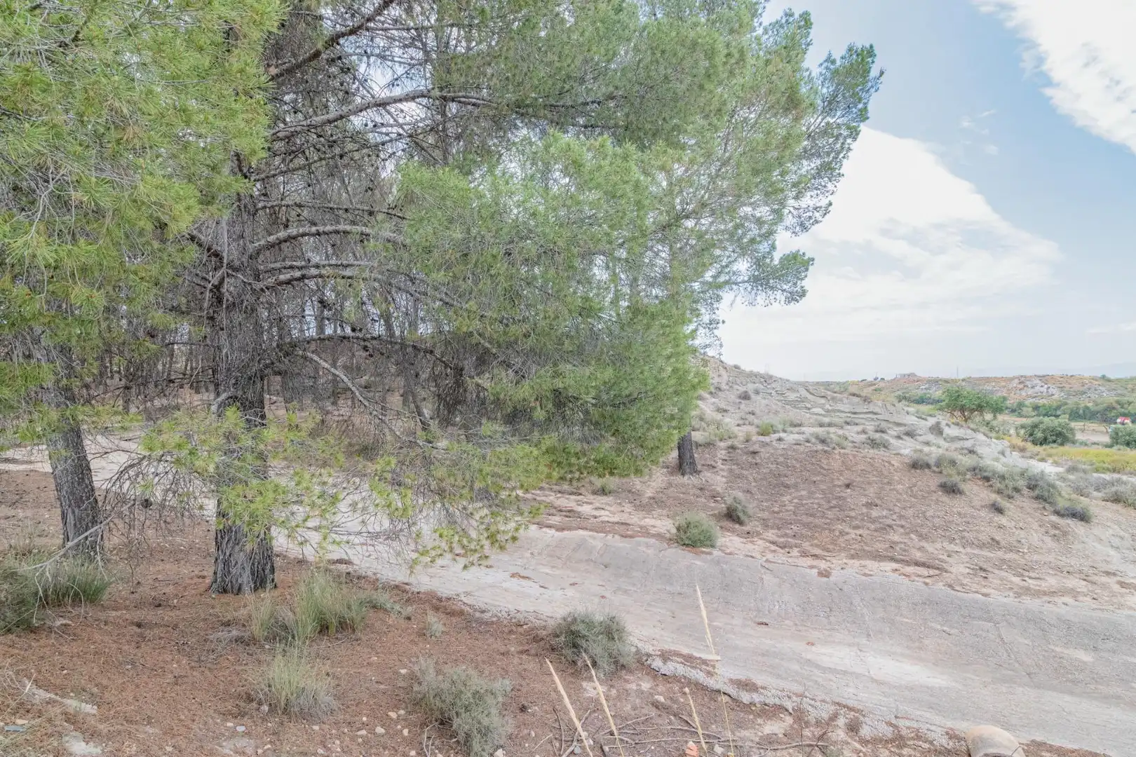 Apartament en venda a Baza, imagen 49