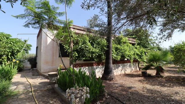 Terreno en Venta en Alcanar