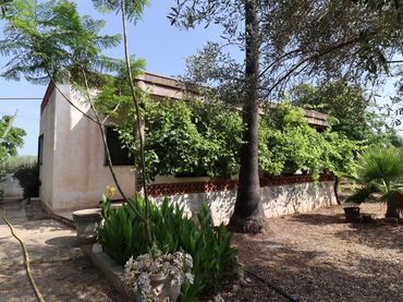 Rural land for sale in Alcanar