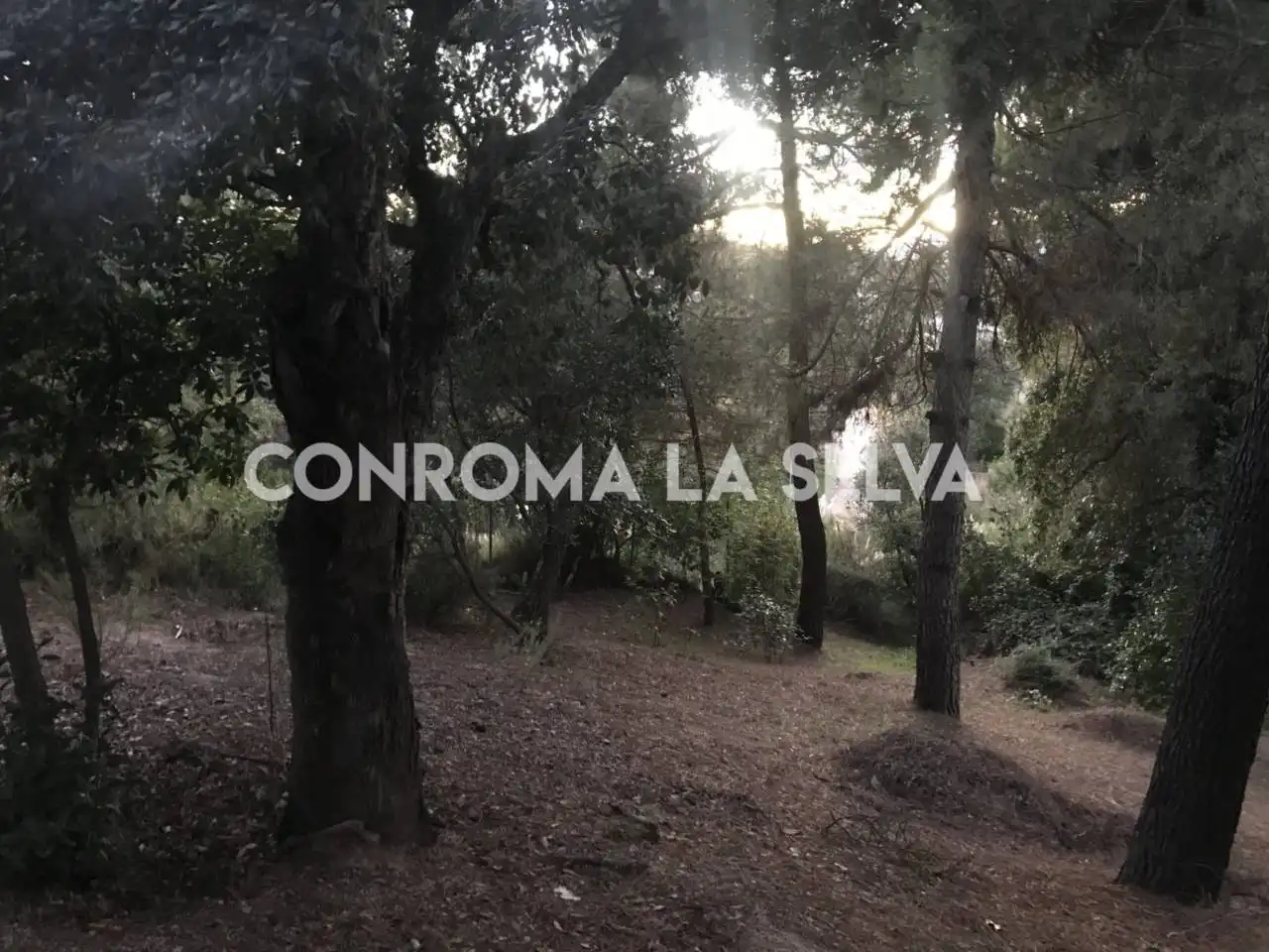 Terreny residencial en venda a Lloret Residencial - Montlloret, imagen 6