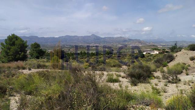 Terreno en Venta en Pedanías Este